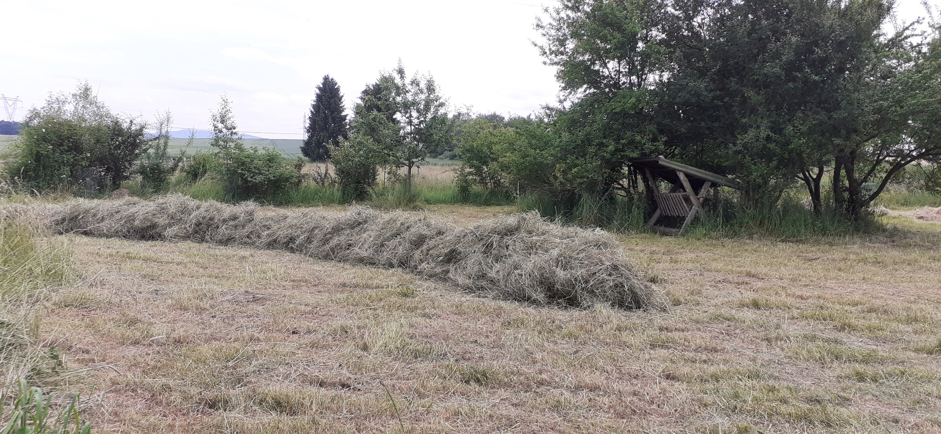 Poslední senoseč.